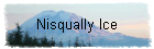 Nisqually Ice